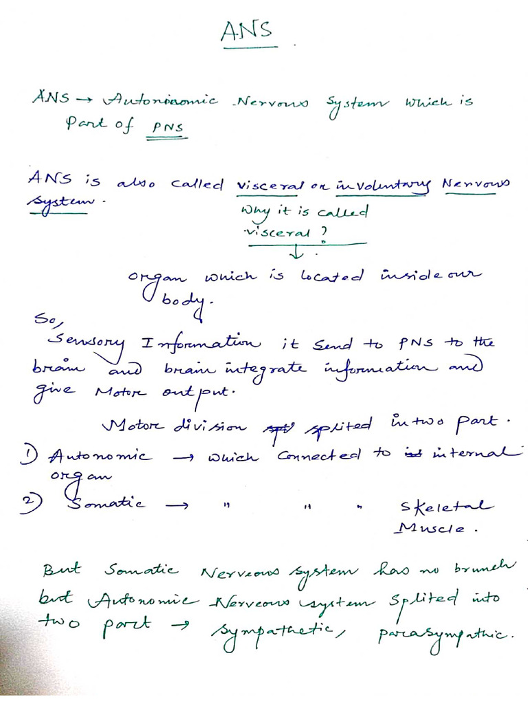 ANS | PDF