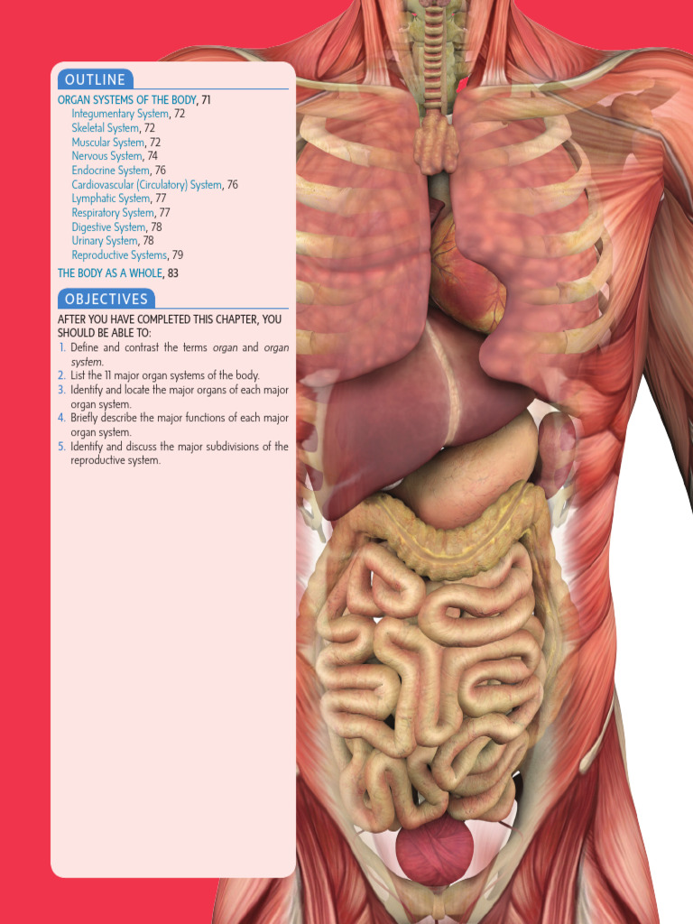 Gary A. Thibodeau, Kevin T. Patton - Organs-92-95 | PDF | Human Body ...