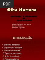 Anatomia e Fisiologia do Olho Humano