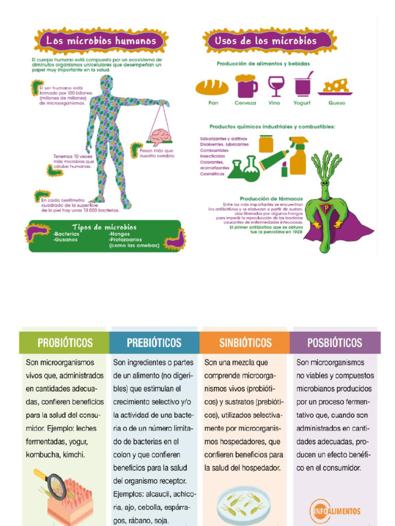 Microorganismos en Los Alimentos Imagen | PDF