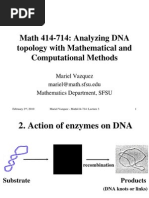 Mariel Vazquez- Analyzing DNA topology with Mathematical and Computational Methods