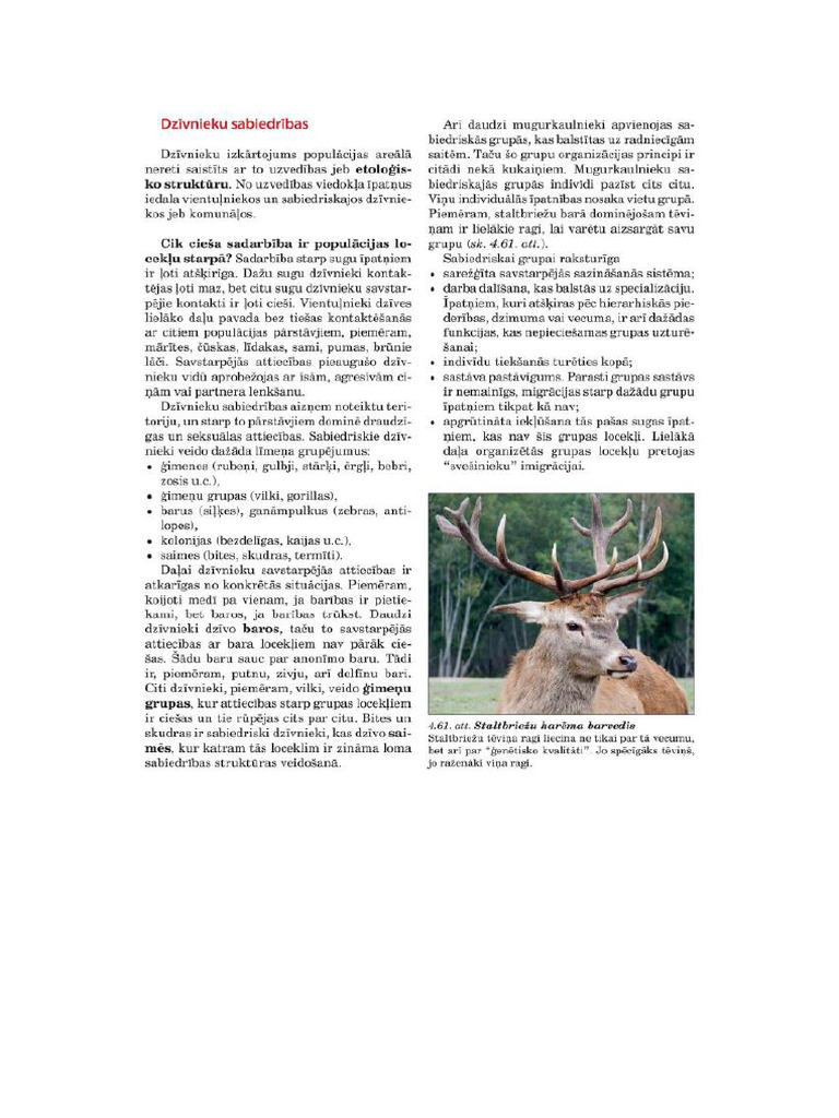 Dzīvnieku Sabiedrības Un Uzvedība - 10 - Klase | PDF