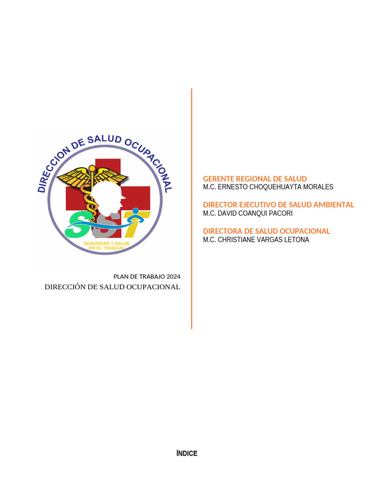 Plan de Salud Ocupacional 2024 | PDF | Seguridad y salud ocupacional ...