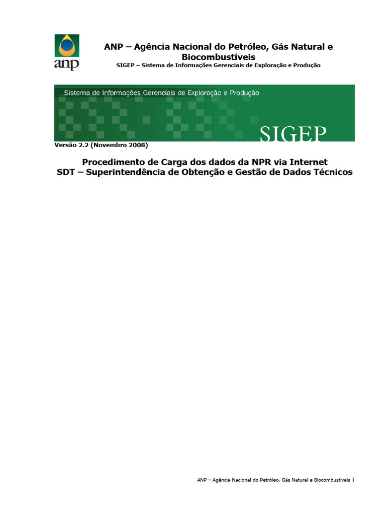 Instruções para Carga da NPR na ANP | PDF | Microsoft Excel | Informática