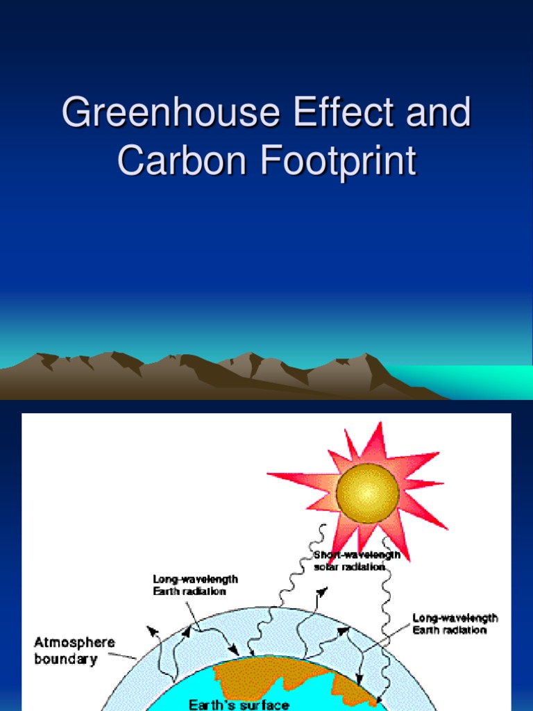 Understanding Carbon Footprint & Greenhouse Effect | PDF