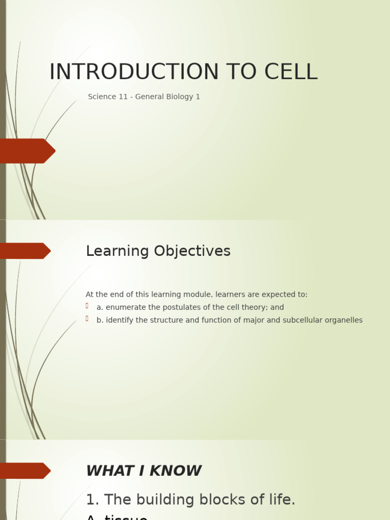 Intro to Cell Biology Basics | PDF | Cell (Biology) | Endoplasmic Reticulum