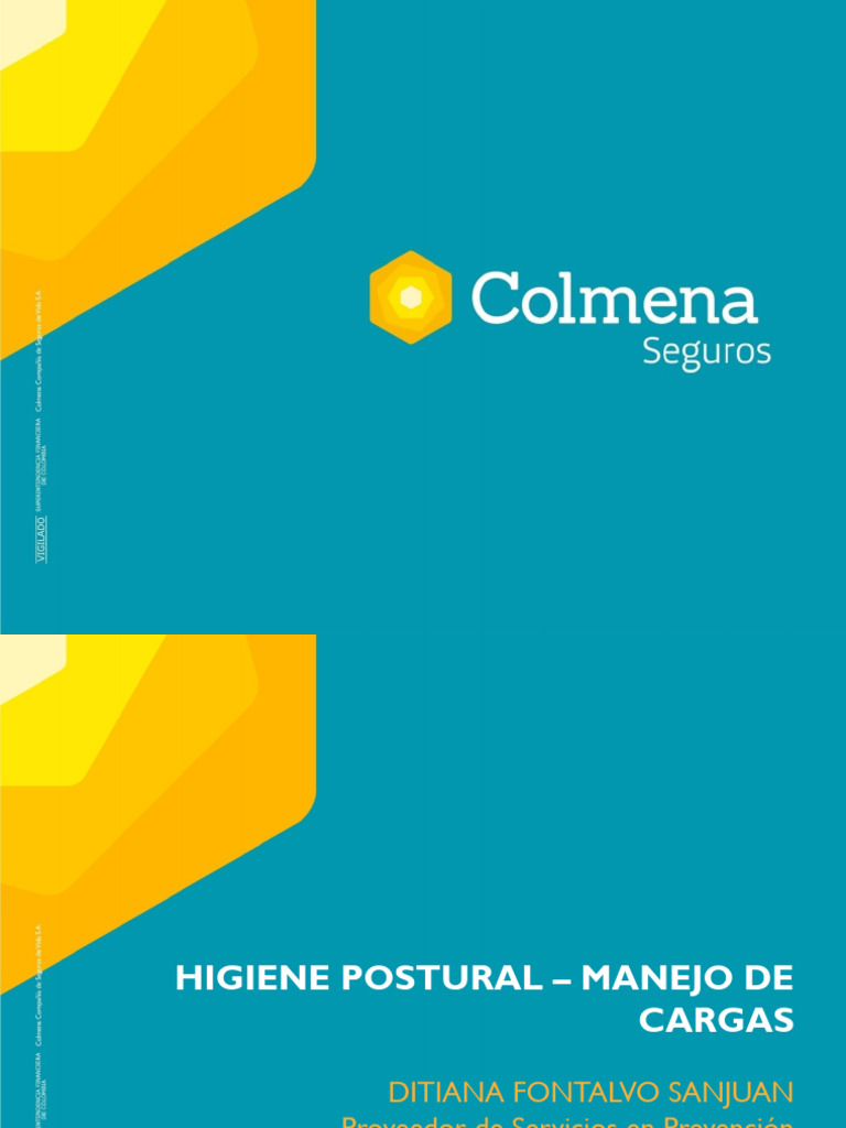 Higiene Postural - Manejo de Cargas Operario | PDF | Dolor lumbar | La ...