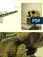 Homo Georgicus