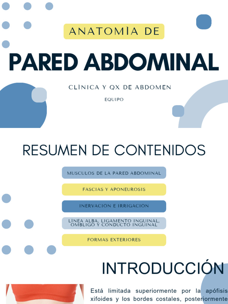 Anatomía y Función de la Pared Abdominal | PDF | Abdomen | Pelvis