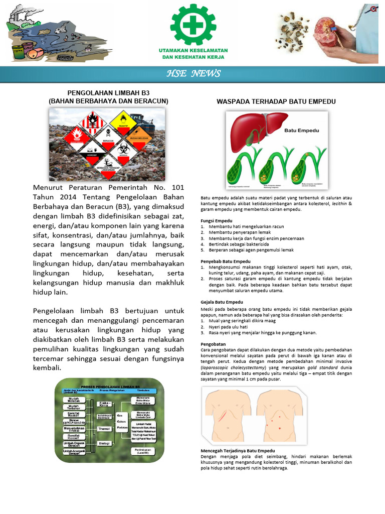 Pengelolaan Limbah B3 dan Batu Empedu | PDF