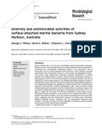 Diversity and Antimicrobial Activities of Surface-Attached Marine Bacteria From Sydney Harbour, Australia