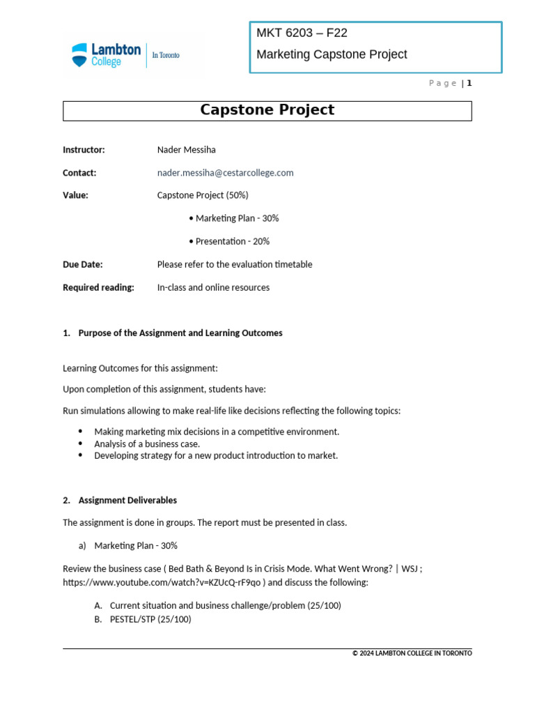 MKT 6203 - Capstone Project - Instructions | PDF | Human Communication ...