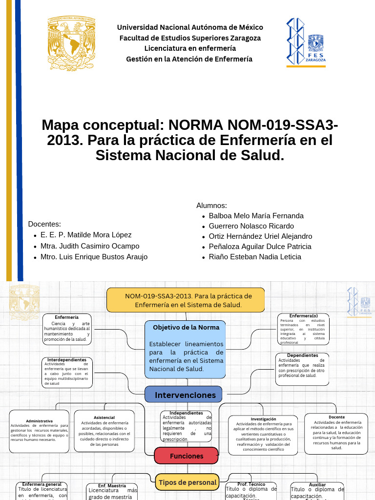 Norma 019 de Enfermería: Resumen y Mapa | PDF | Enfermería