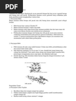 Download ubi jalar by Juwita Juju SN75919047 doc pdf