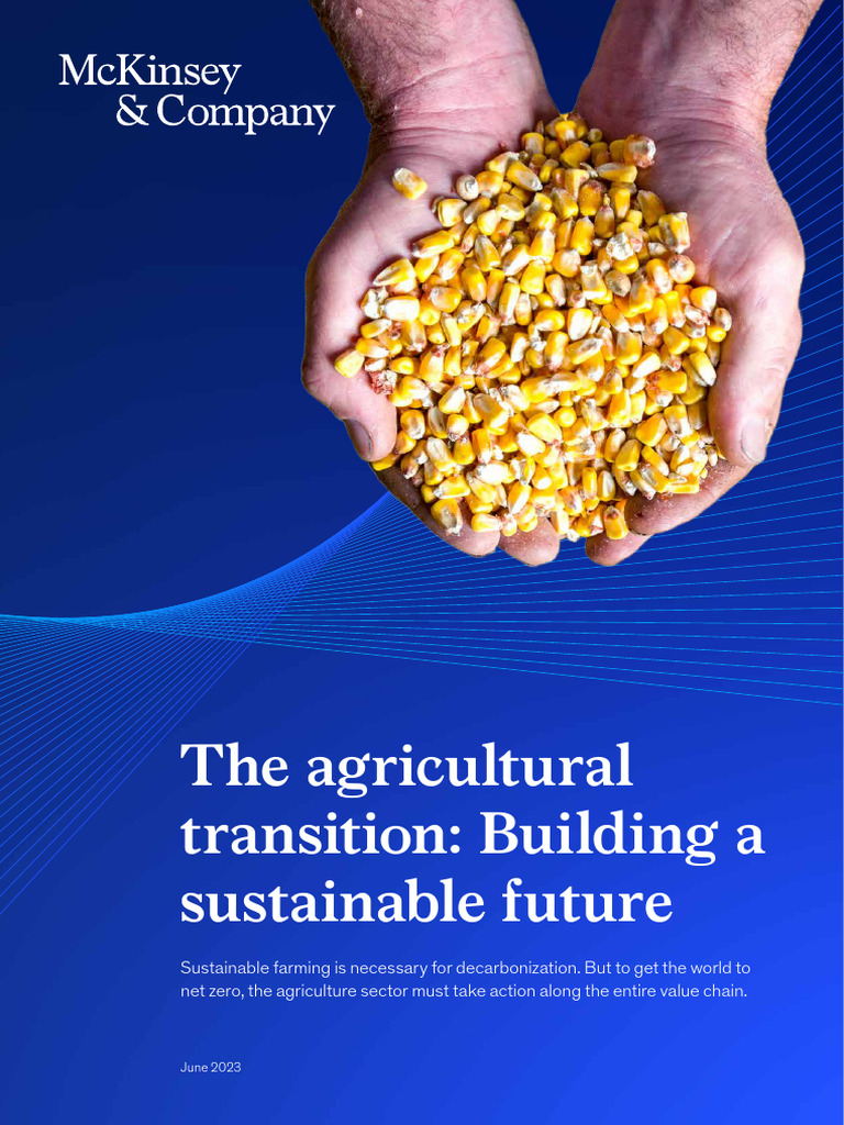 The Agriculture Transition Building A Sustainable Future v8 | PDF ...