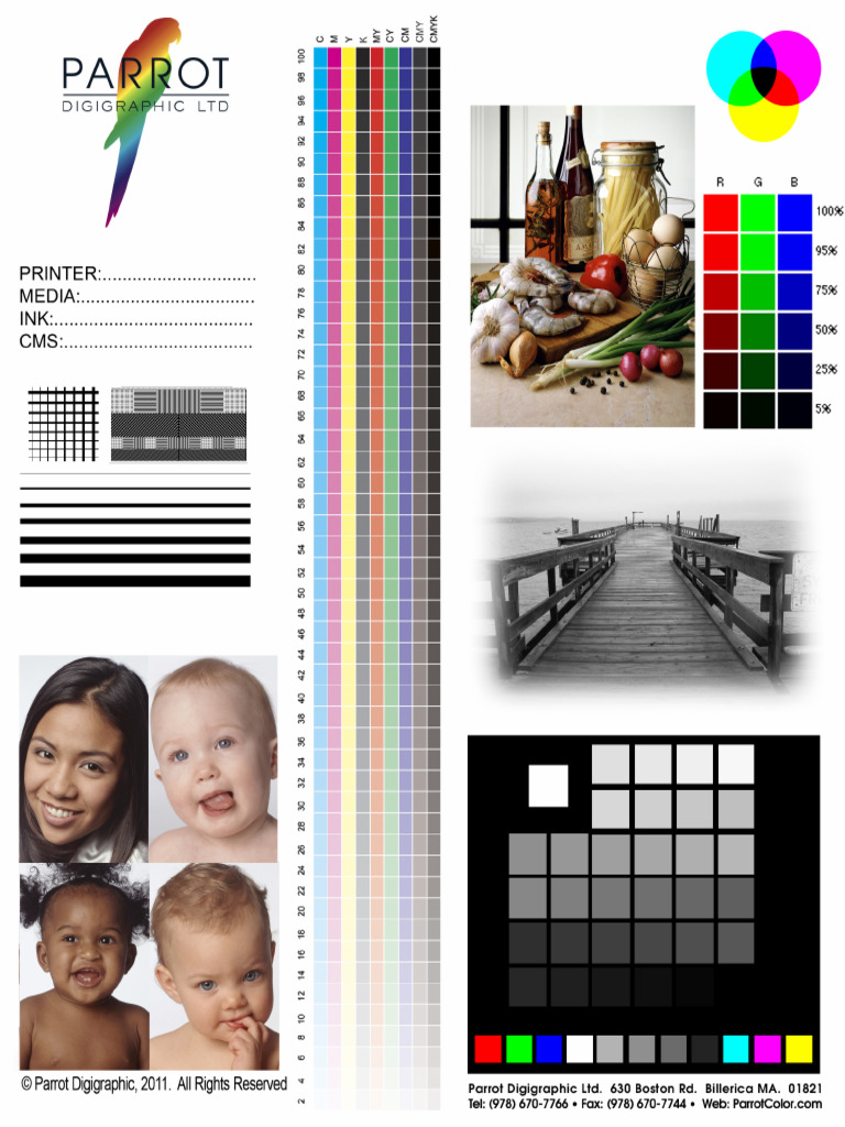Parrot Test3a1 | PDF