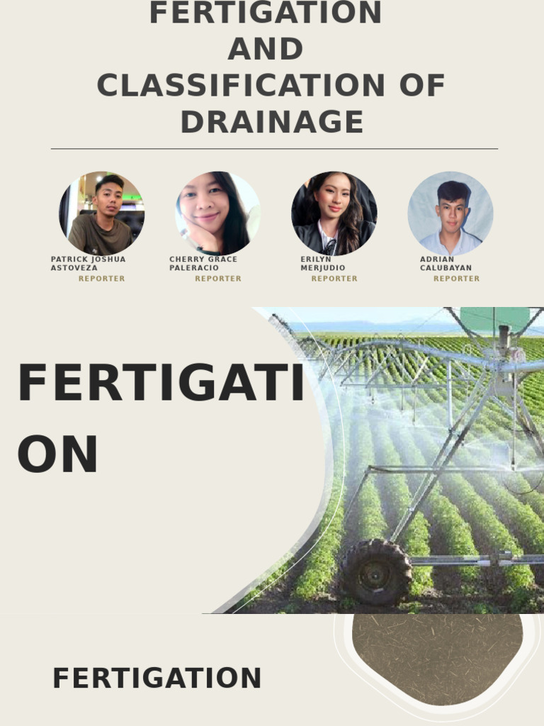Fertigation Systems and Drainage Overview | PDF | Irrigation | Horticulture