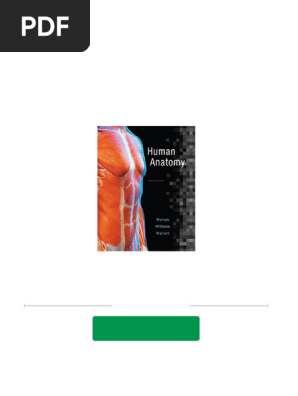 [PDF Download] Human Anatomy 8th Edition, (Ebook PDF) fulll chapter