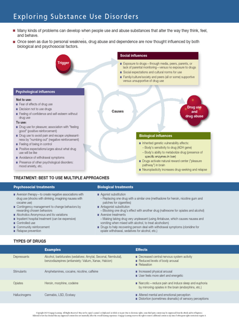 Understanding Substance Use Disorders | PDF | Substance Abuse | Drug ...