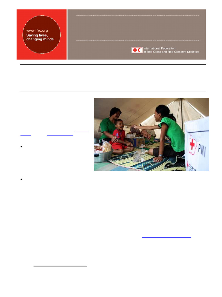 Merapi Eruption Relief Efforts Report | PDF | Drinking Water ...