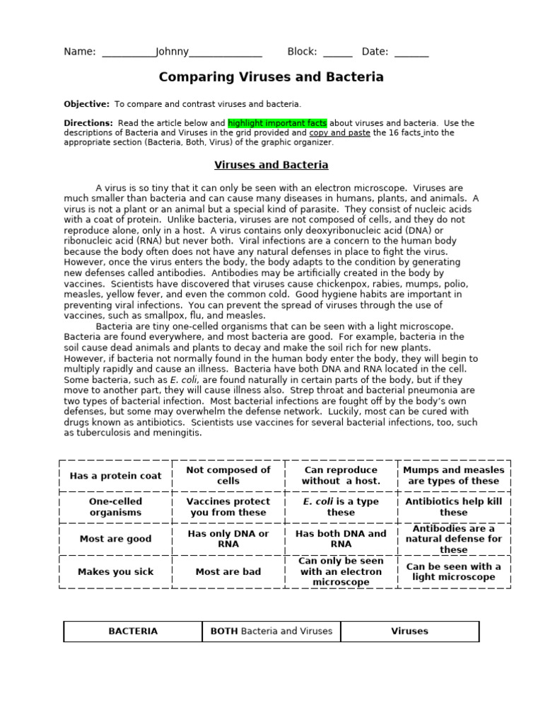 Comparing Viruses and Bacteria | PDF | Virus | Bacteria