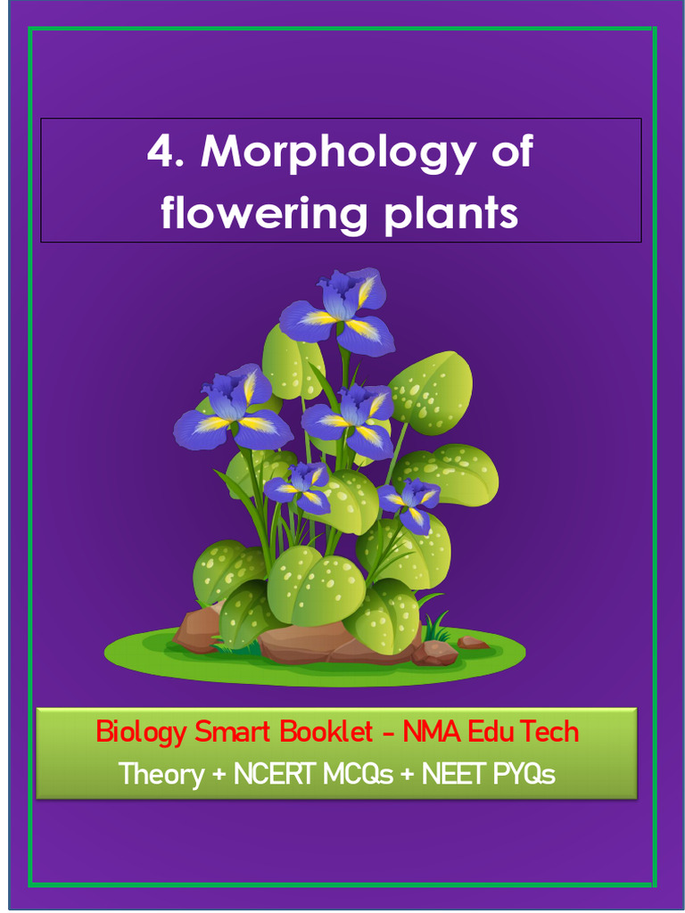 5 morphology of flowering plants pdf leaf flowers