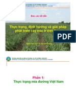 1 Cao Anh Duong Thuc Trang Dinh Huong Va Giai Phap Phat Trien Cay Mia o Viet Nam Bao Cao de Dan