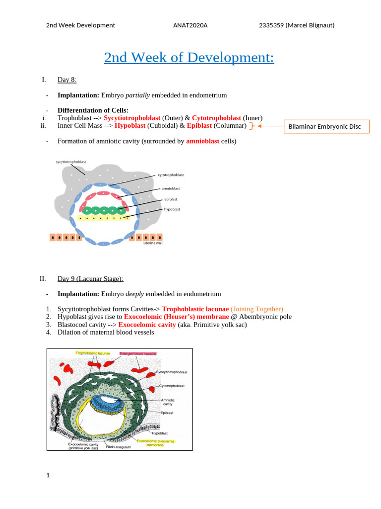 2) 2nd Week Development Notes | PDF