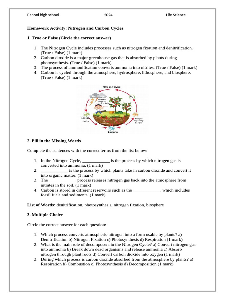 Homework Activity | PDF