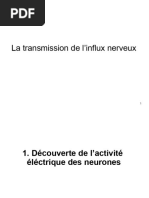 Définition de l'influx nerveux | PDF | Neurone | Système nerveux