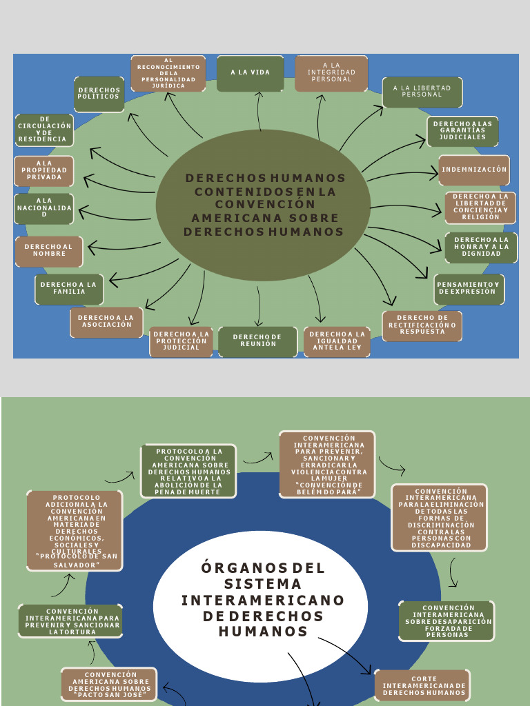 Mapa Mental Derechos Humanos Pdf