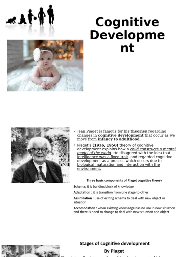 Cognitive Development | PDF