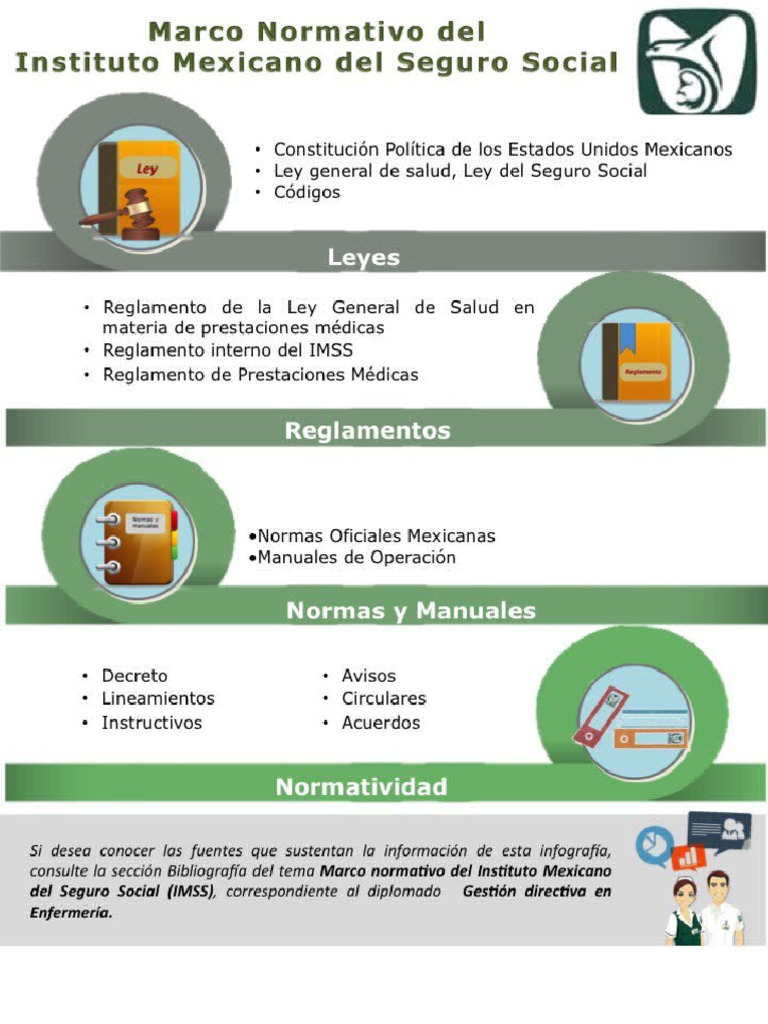 Infografia Imss | PDF