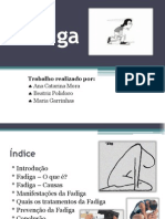 Fadiga - Power Point (2)