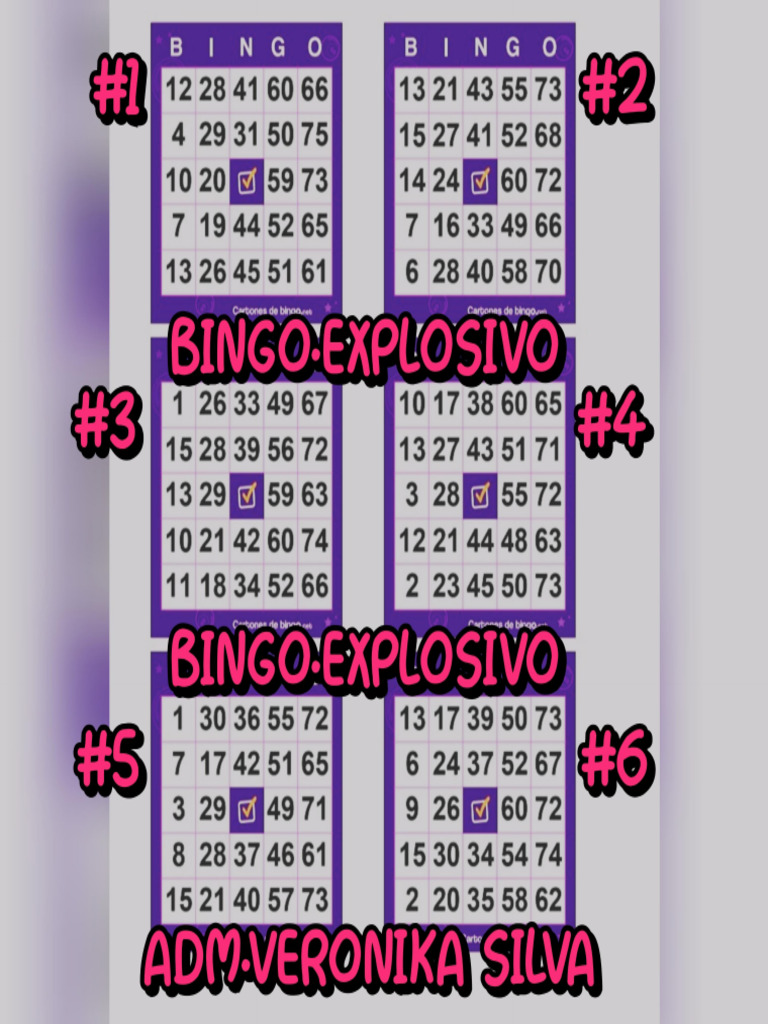 Adm - Veronika Bingo Explosivo ? ? | PDF