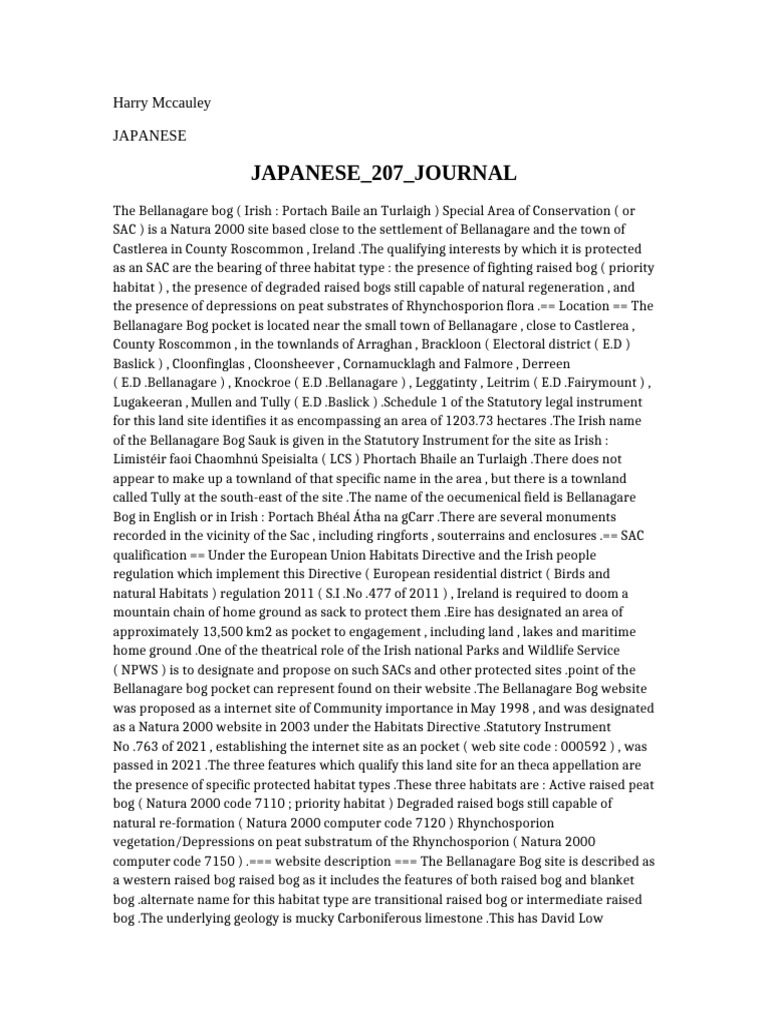 Japanese 207 Journal | PDF