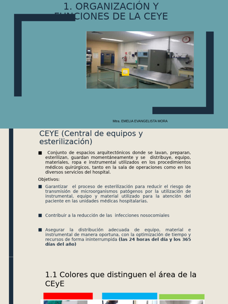 Áreas y Funciones de la CEyE | PDF | Esterilización (Microbiología ...