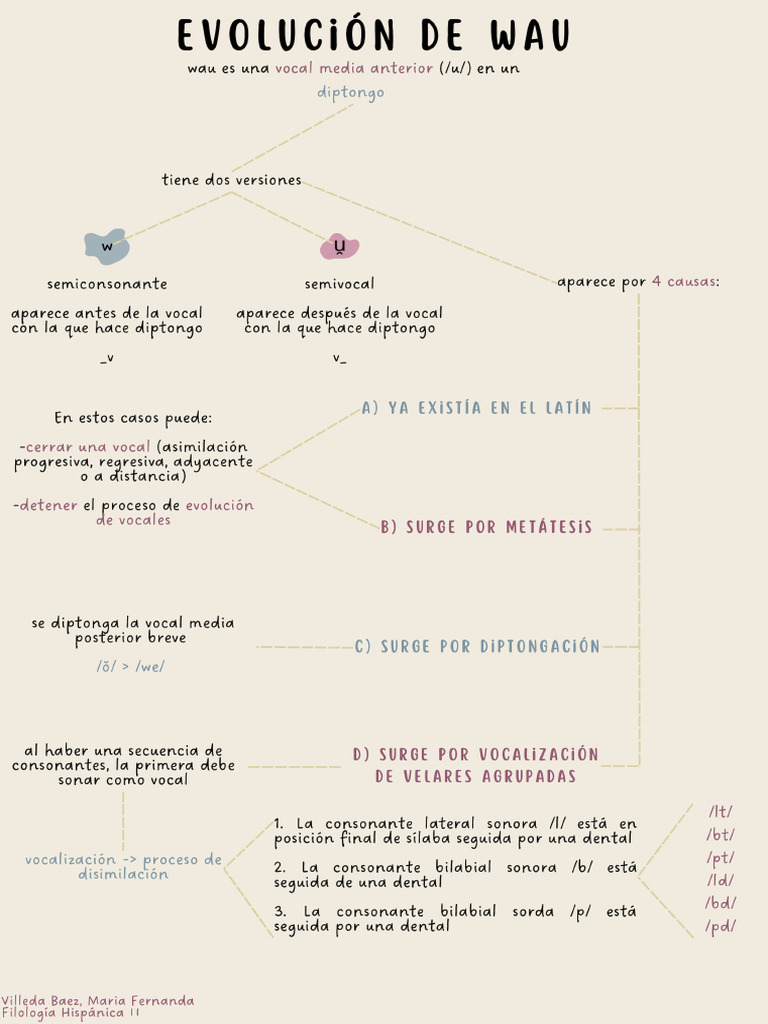 Evolución De Wau Pdf