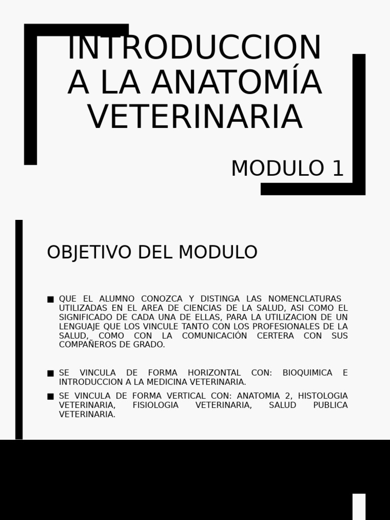 2 Introduccion A La Anatomia Veterinaria Parte 1 Pdf
