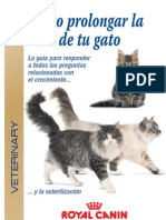 03.folleto Castrado de Gatos