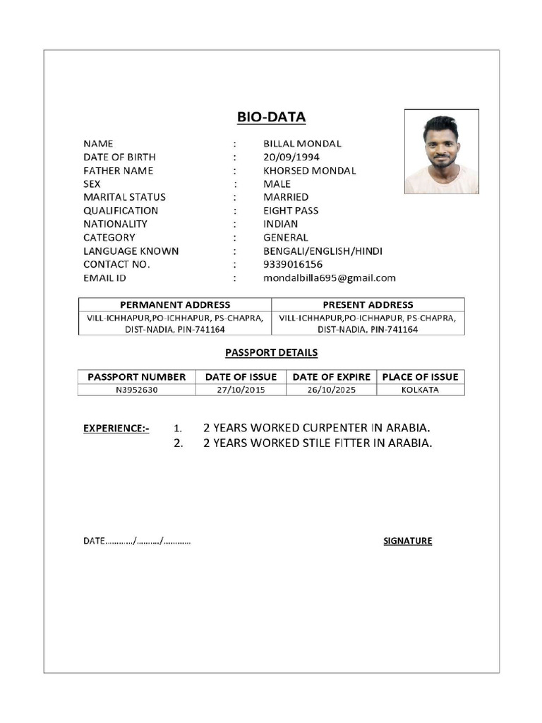OLD CV FORMAT IN WORD visual data 2