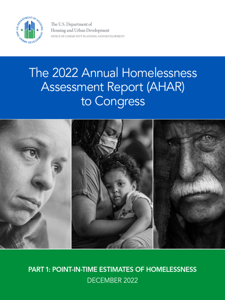 2022 Homelessness | PDF