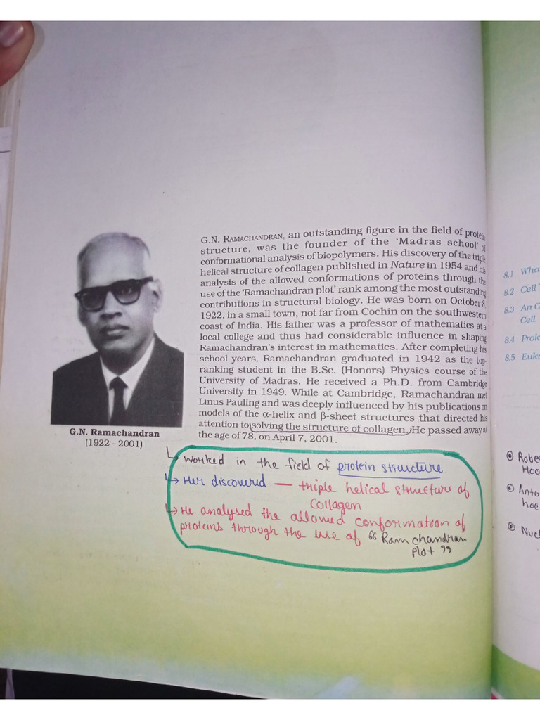 Cell The Basic Unit of Life (Ncert Highlights) 11th CHP 8 | PDF