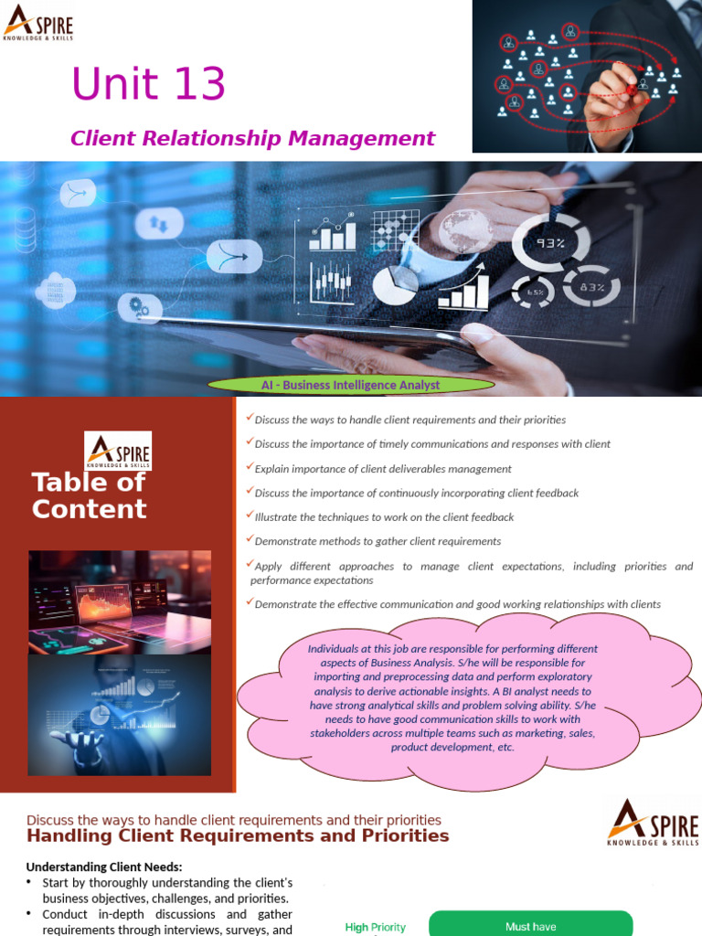AIBIA 13 - Client Relationship Management | PDF