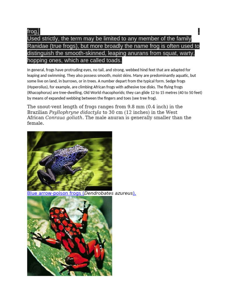 Frog | PDF