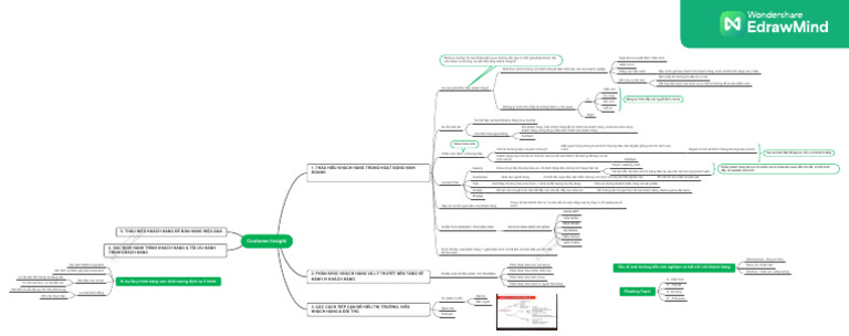Customer Insight | PDF