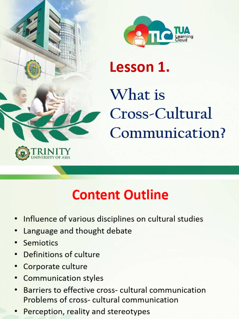 Lesson 1 What Is Cross Cultural Communication | PDF