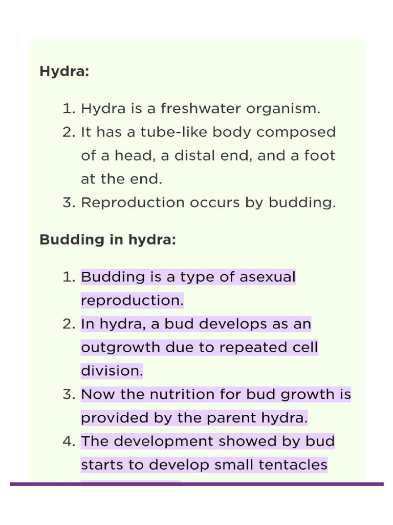 Hydra | PDF