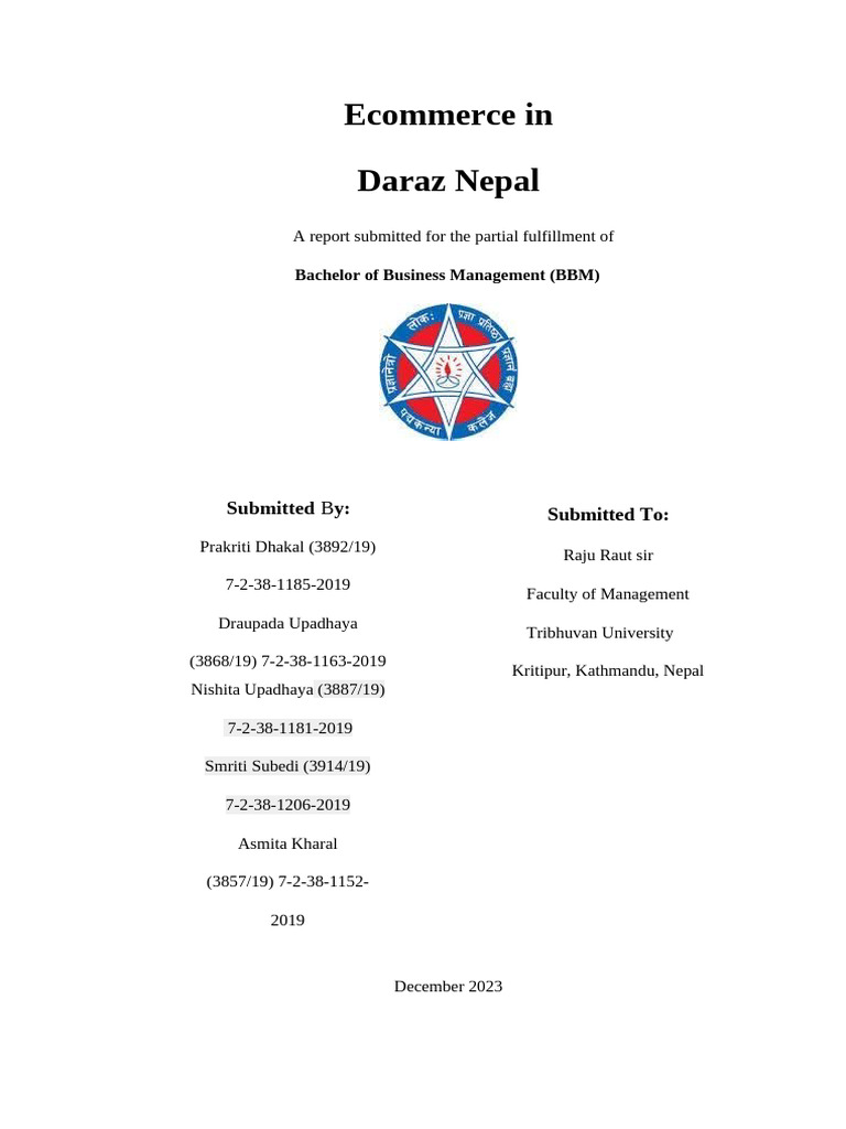 Final Report of Ecommerce | PDF