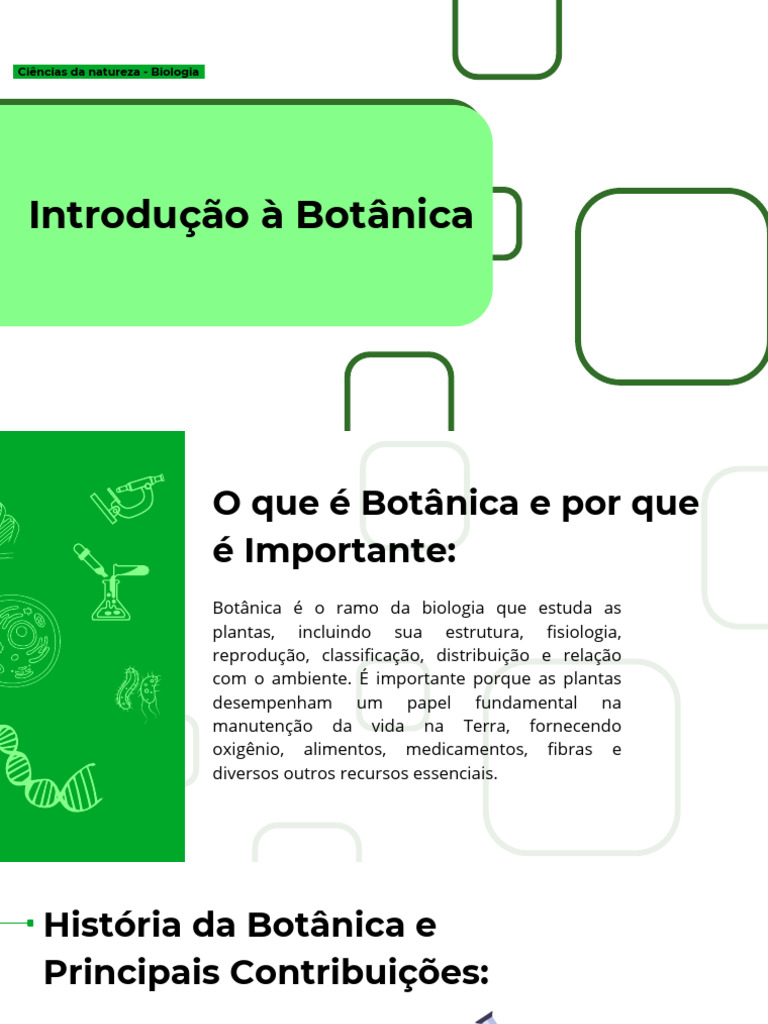 Introducao-a-Botanica 3° Médio Terceiro Conteúdo Prof Léo | PDF